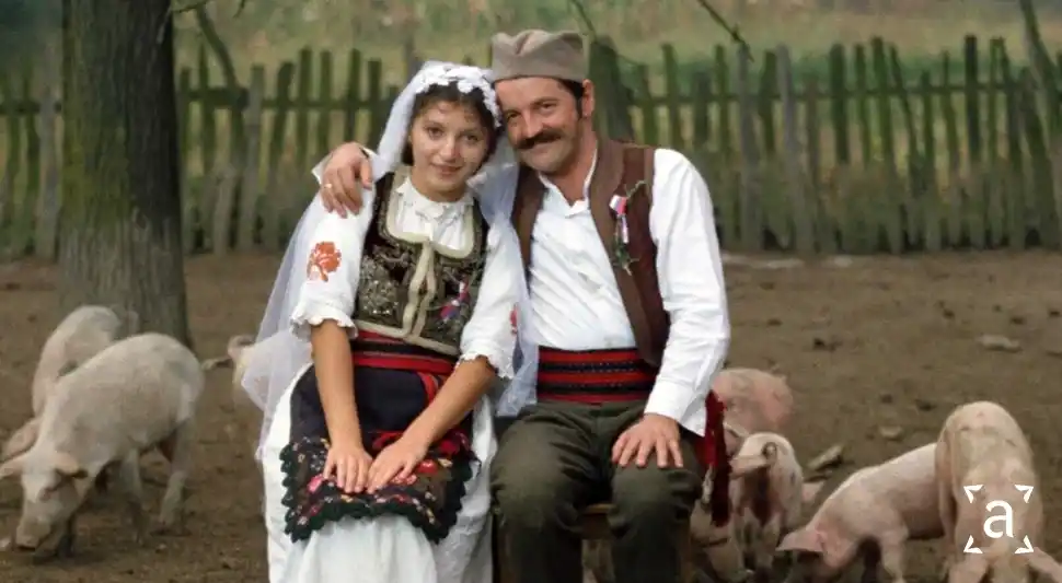 pr id PETRIJIN VIJENAC_11zon.webp